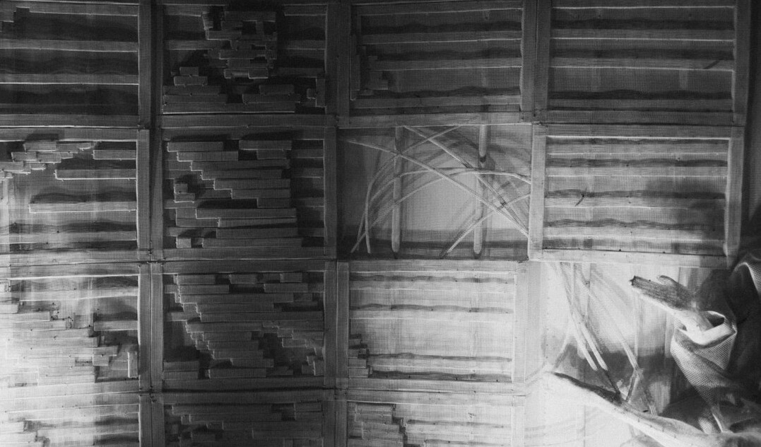 detective examining old case files
