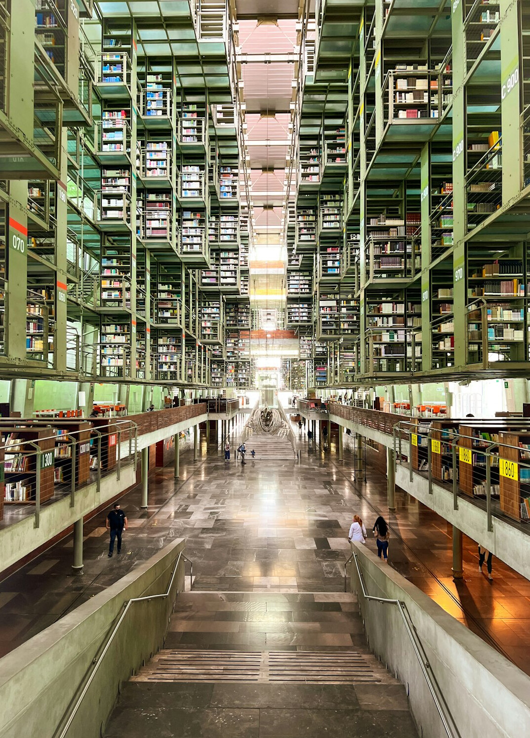 Rows of books in a library aisle